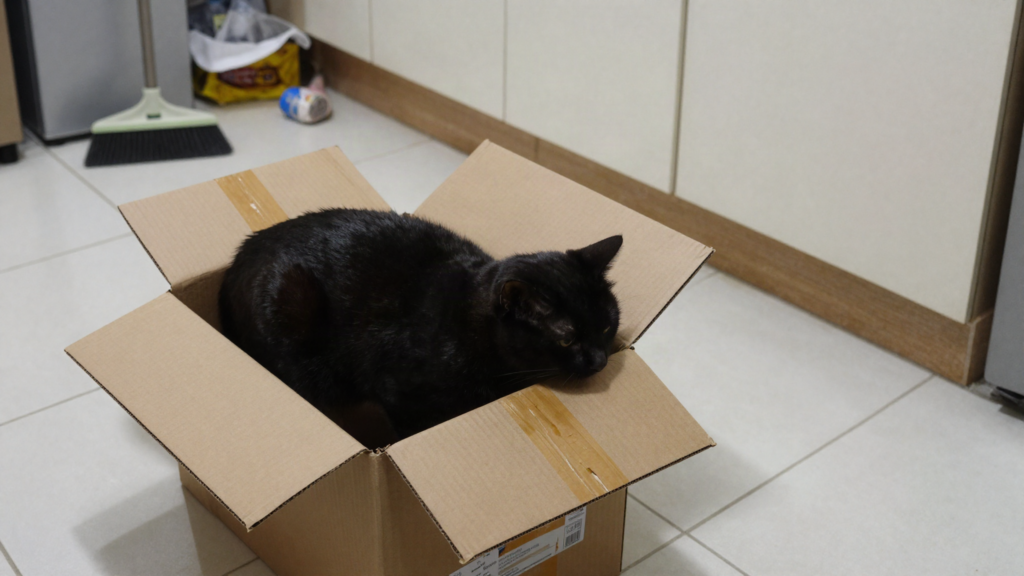 Gato preto semi-dentro de caixa de entrega no chão da cozinha, olhando para baixo, com fita e etiqueta.